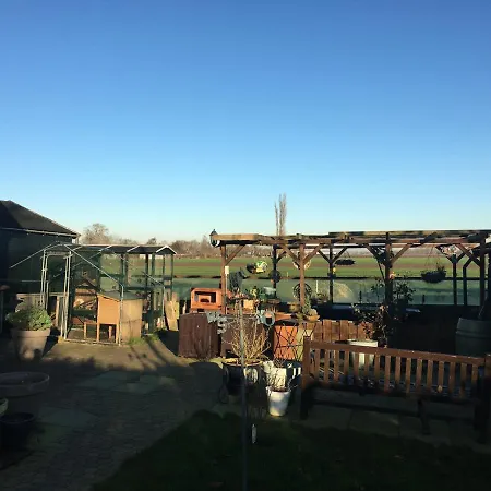 The Country Yard