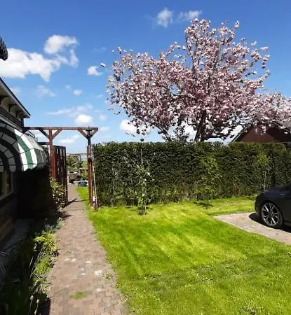 The Country Yard